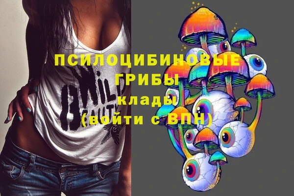 сатива Семилуки